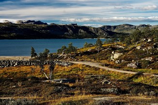 Норвегия. Долина Хардангервидда