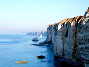 3 дня Нормандия - Бретань - Замки Луары на Минивене из Парижа